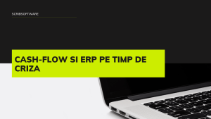 Cash-flow si ERP pe timp de criza Cash-flow si ERP pe timp de criza