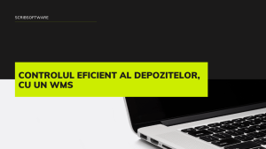 Controlul eficient al depozitelor, cu un WMS Controlul eficient al depozitelor, cu un WMS
