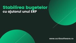 Stabilirea bugetelor cu ajutorul unui ERP Stabilirea bugetelor cu ajutorul unui ERP