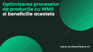 Optimizarea proceselor de productie si beneficiile acesteia, cu ajutorul WMS Optimizarea proceselor de productie si beneficiile acesteia, cu ajutorul WMS