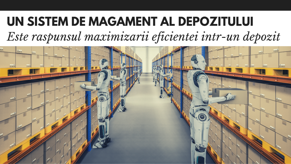 Sistem de management depozit: raspunsul maximizarii eficientei sistem de management depozit