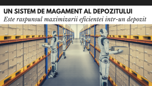 Sistem de management depozit: raspunsul maximizarii eficientei sistem de management depozit