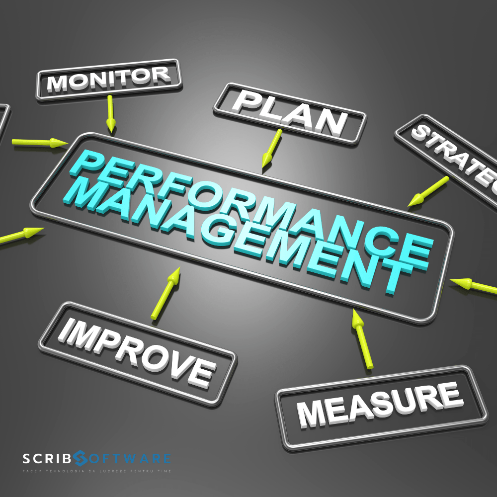 managementul performantei
