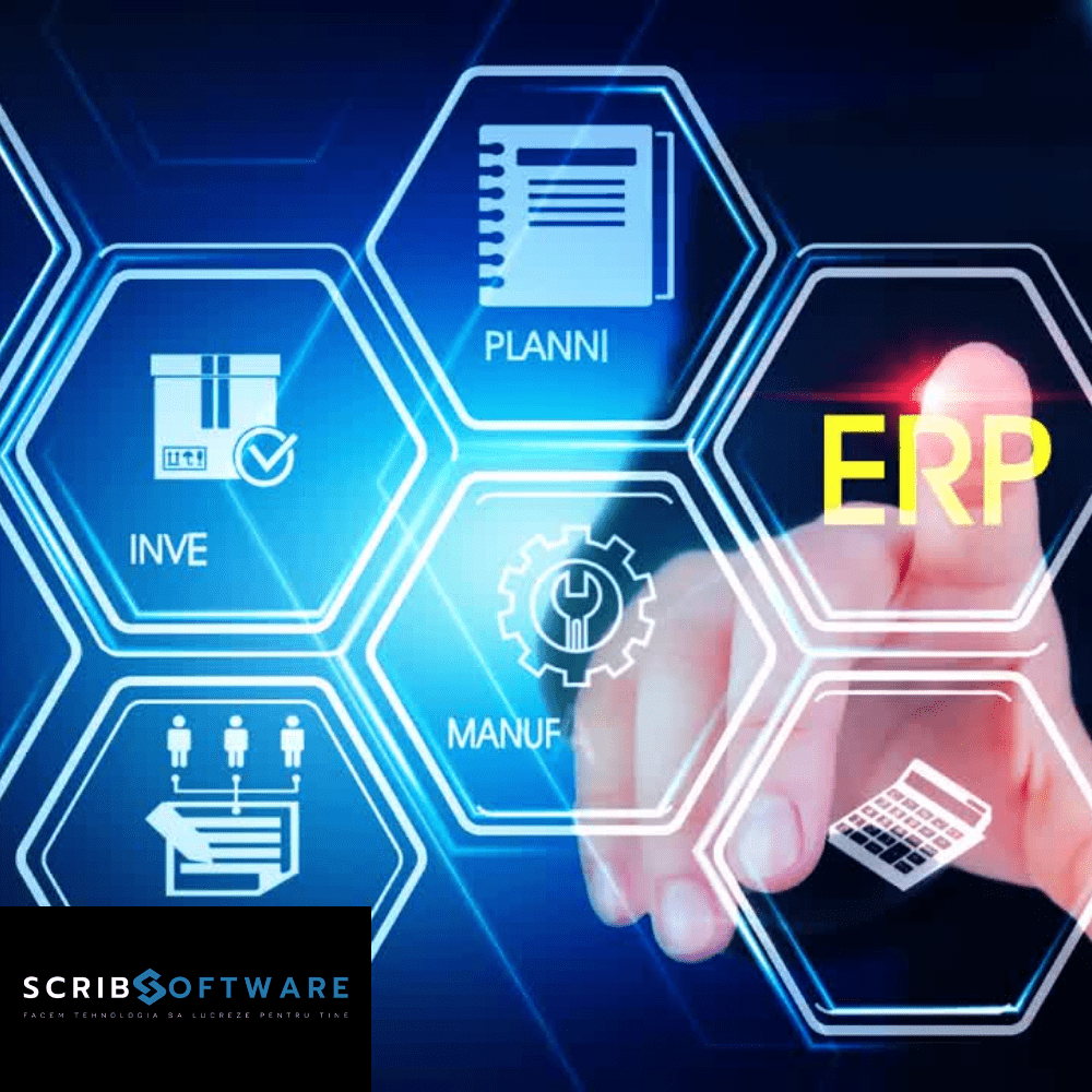 soft erp
