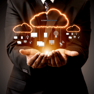 Activezi in sectorul serviciilor? sistem ERP